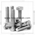 Stainless Steel Fasteners Cold Forged & Hot Forged