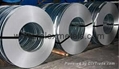 Hardened & Tempered Steel Strips Grade C70 C75 C80