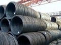 Wire Rod SAE 1006 SAE 1008 SAE 1018